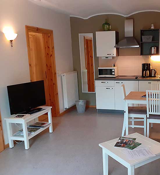 Wohnbereich mit Küche in der Ferienwohnung Kuhstall