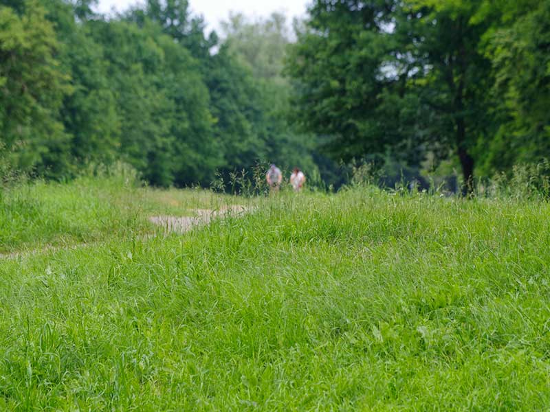 Radfahrer auf dem Gurkenradweg zwischen Lübben und Schlepzig - Foto: AOD Media